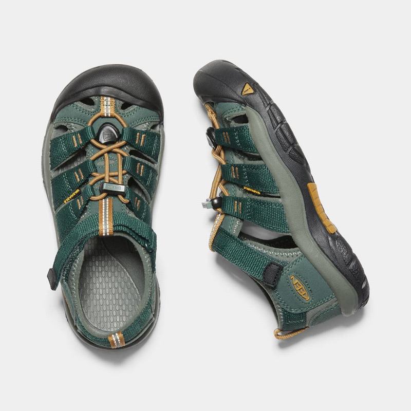 Buy Keen Newport H2 Kids Sandals Deep Green (3910-IXEFP)